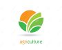 Year 2 Agriculture Lesson Planners for SHS | NaCCA Aligned