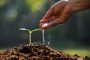 Farmer's,Hand,Watering,A,Young,Plant Year 3 Agriculture Lesson Planners for SHS | NaCCA Aligned